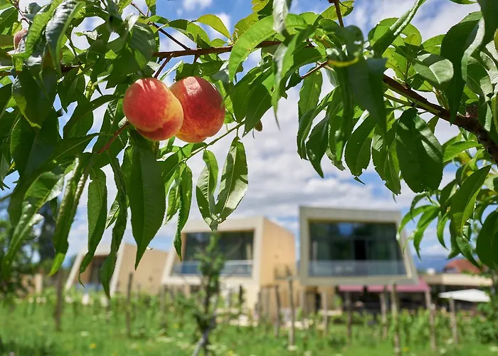 Gartenlofts Auf Gut Guntrams Schwarzau am Steinfelde